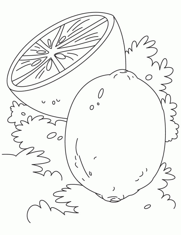 dibujo sencillo un limon y medio limon para colorear