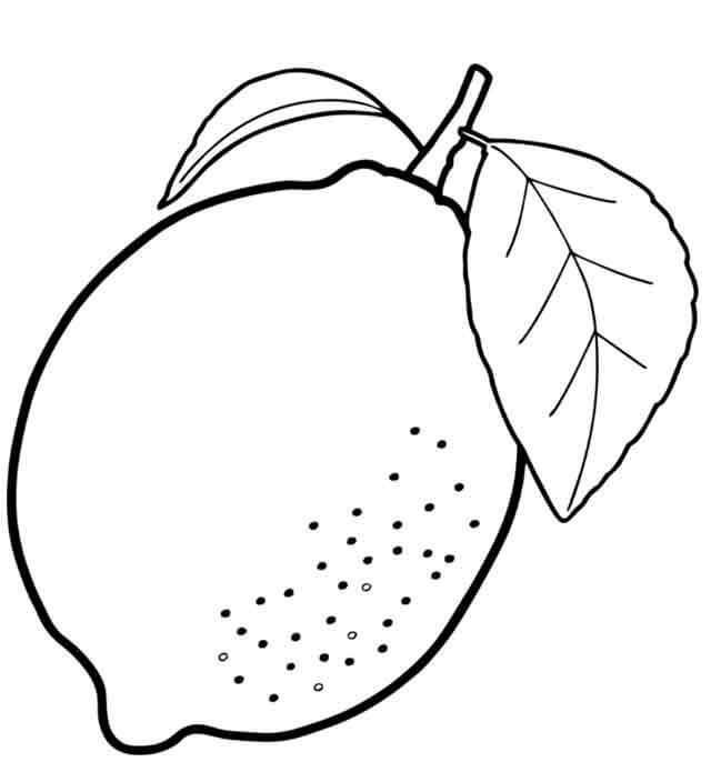 dibujo un limon con hoja para colorear