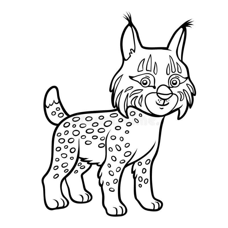 dibujo buen lince para colorear
