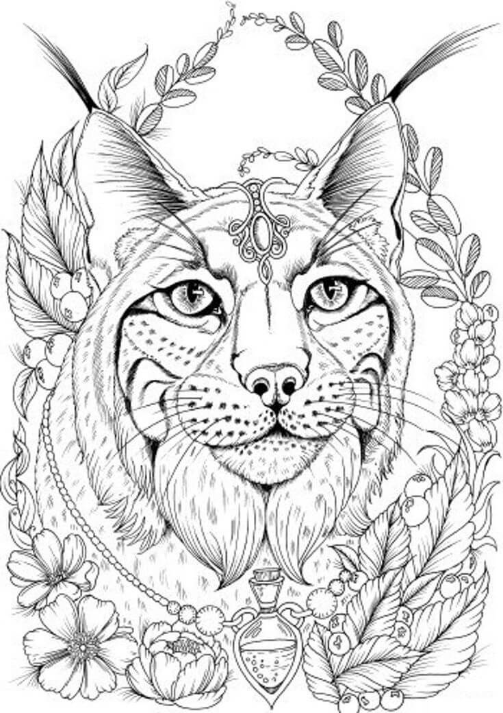 dibujo cara de lince con flor para colorear
