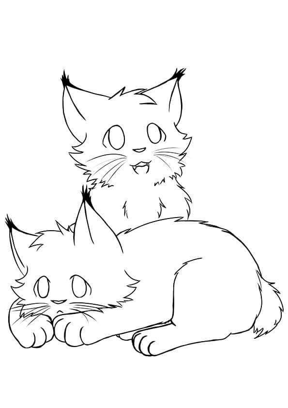 dibujo dos lince bebe para colorear