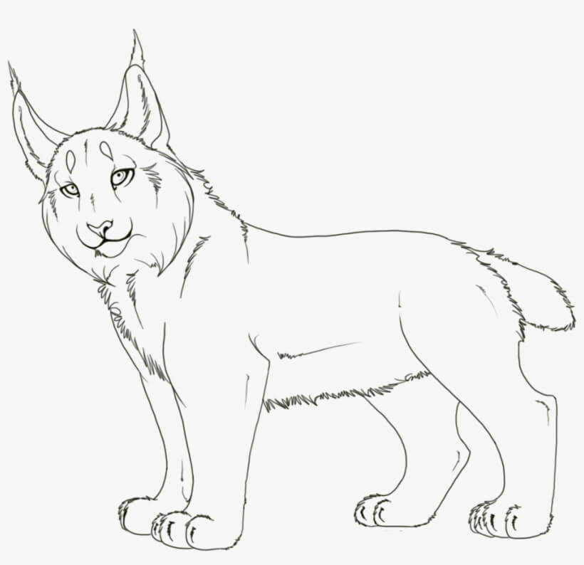 dibujo impresionante lince para colorear