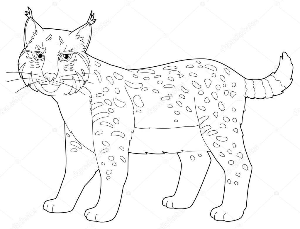 dibujo lince de dibujos animados para colorear