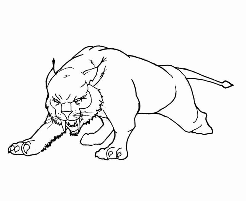 dibujo lince enojado para colorear