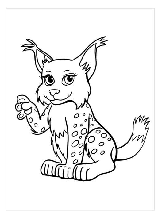 dibujo lince sonriendo para colorear