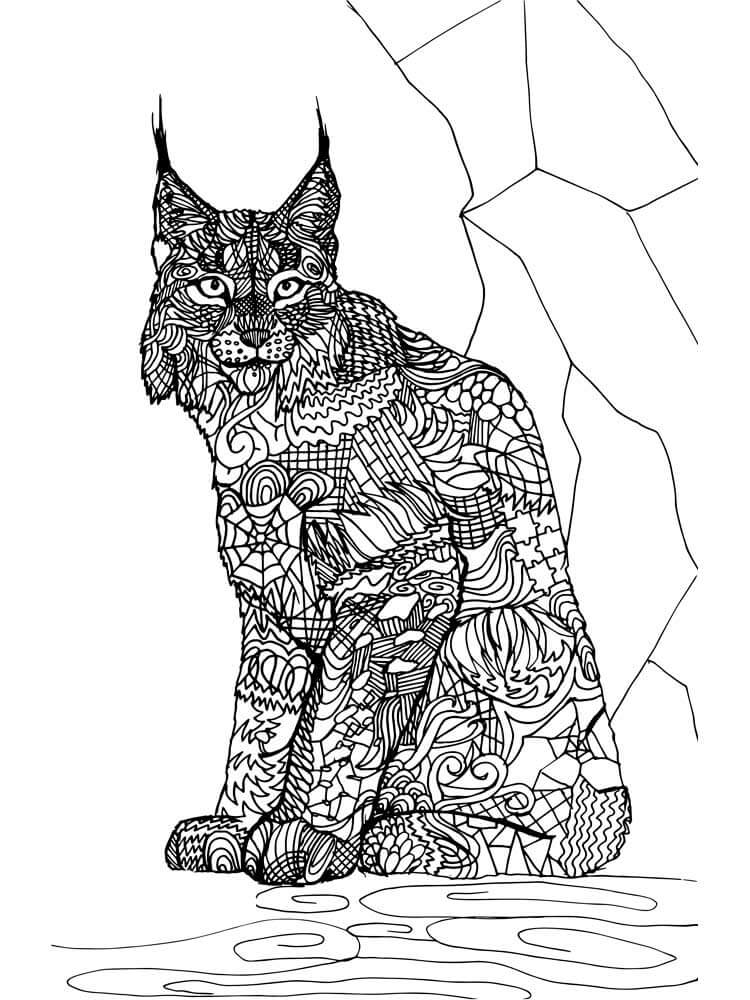 dibujo mandala de lince de cabeza para colorear