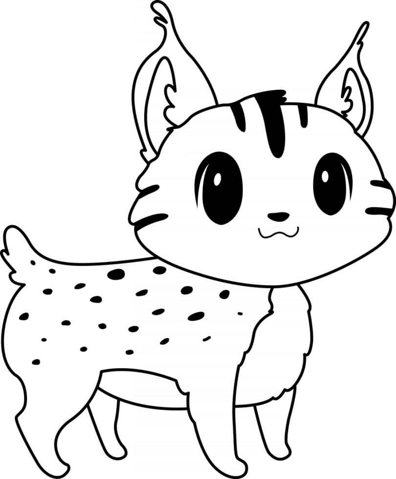 dibujo pequeno lince de dibujos animados para colorear