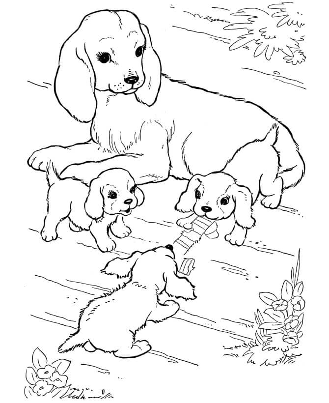 Dibujo de Lindo Perro de Familia para Colorear y Imprimir