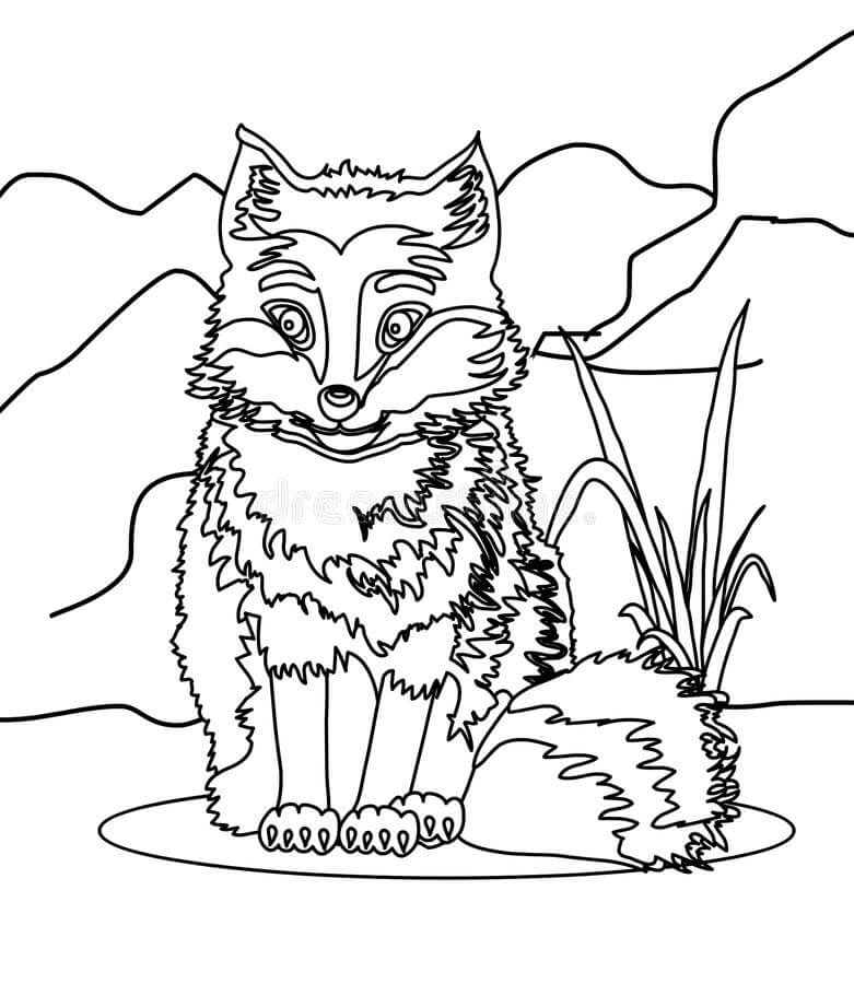 bebe lobo