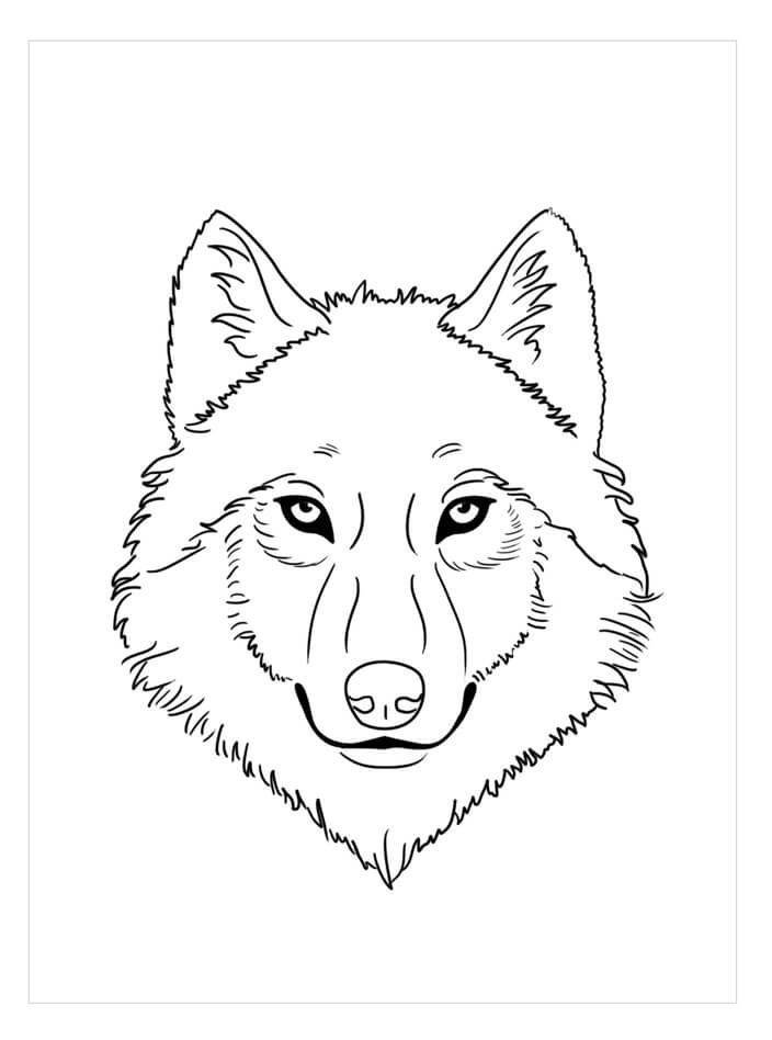 cara de lobo