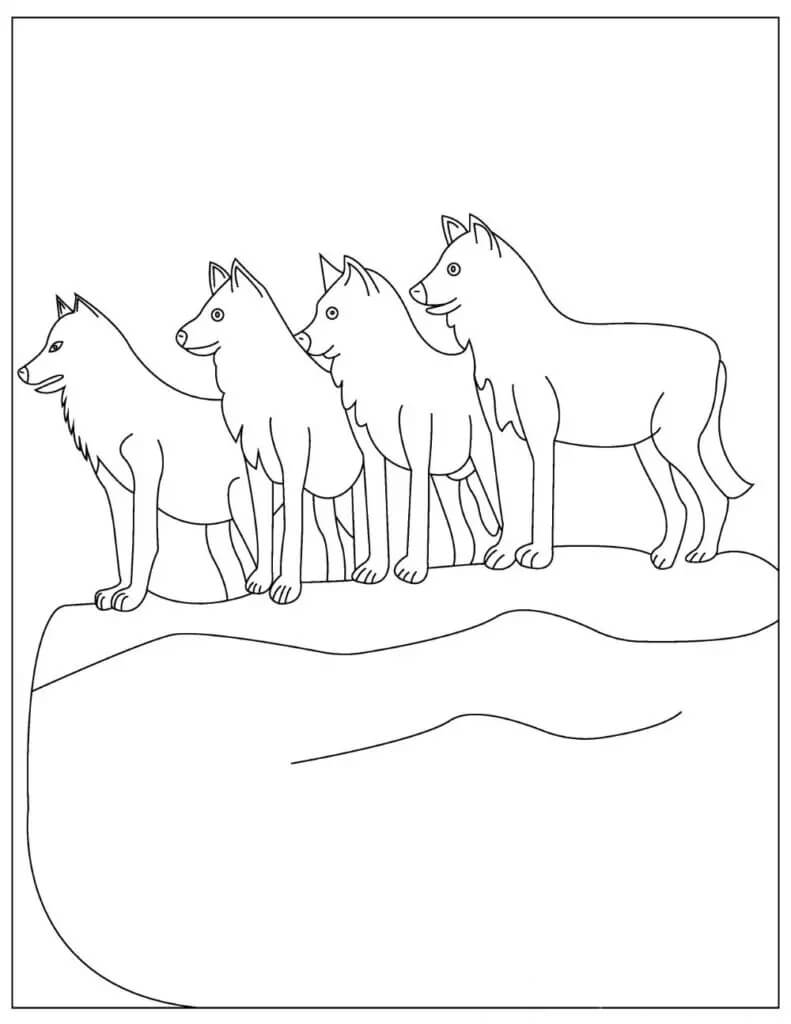 cuatro lobos