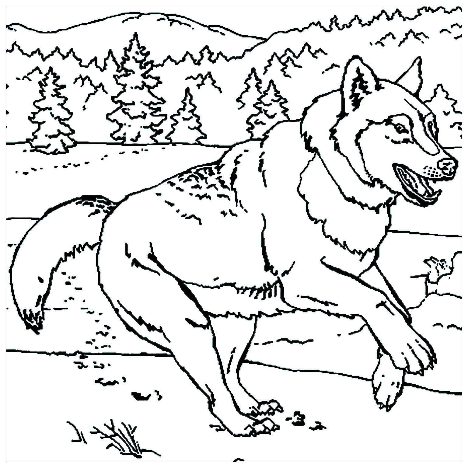 dibujo lobo