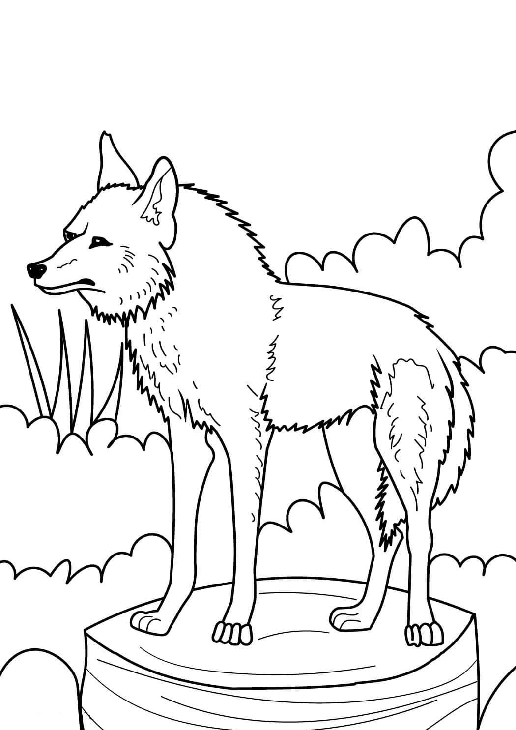 lobo agradable