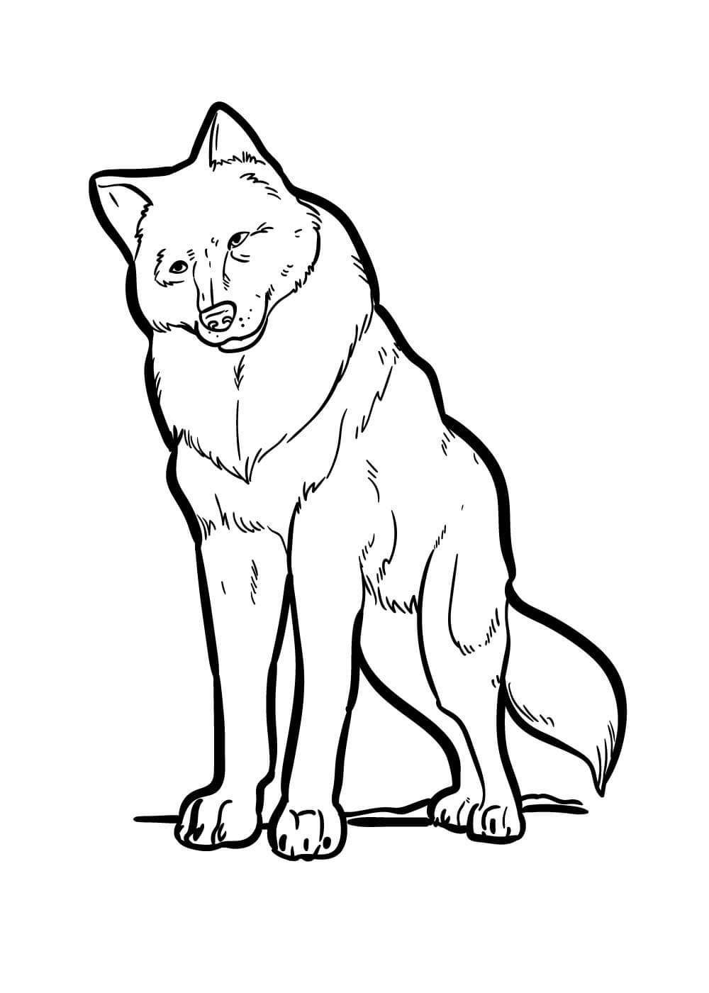 lobo asombroso