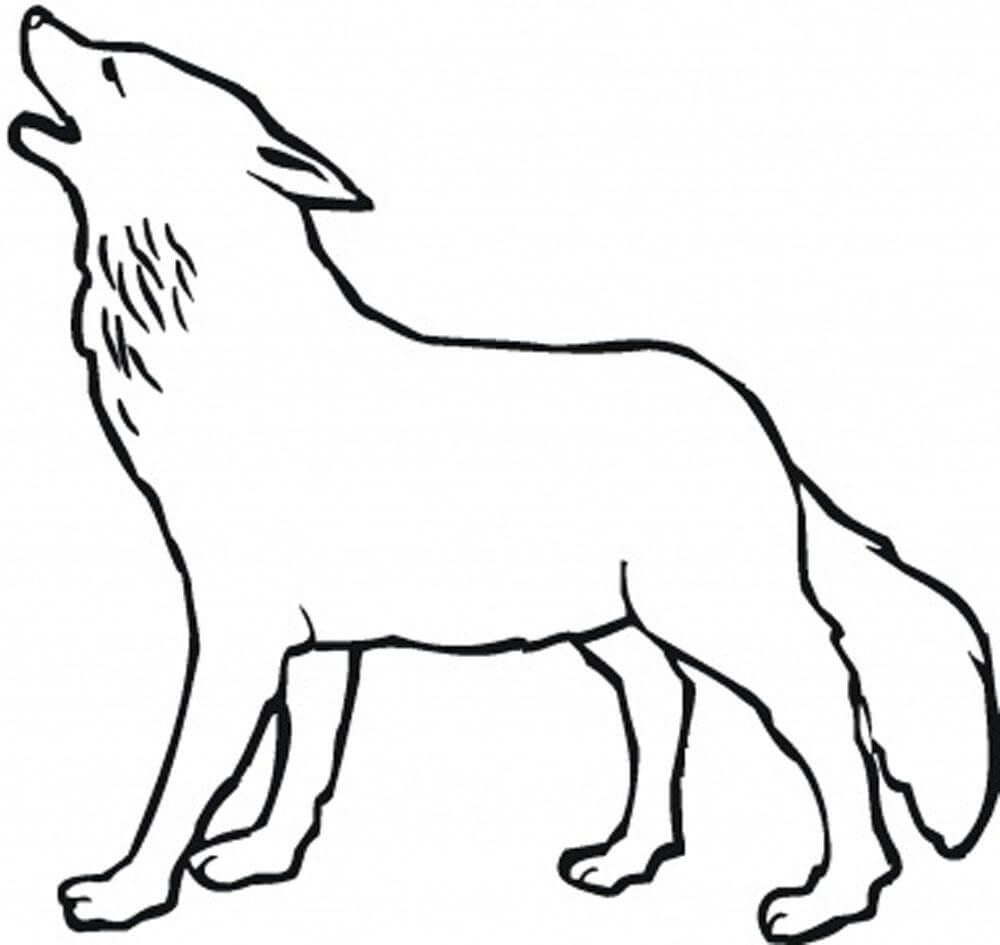 lobo facil