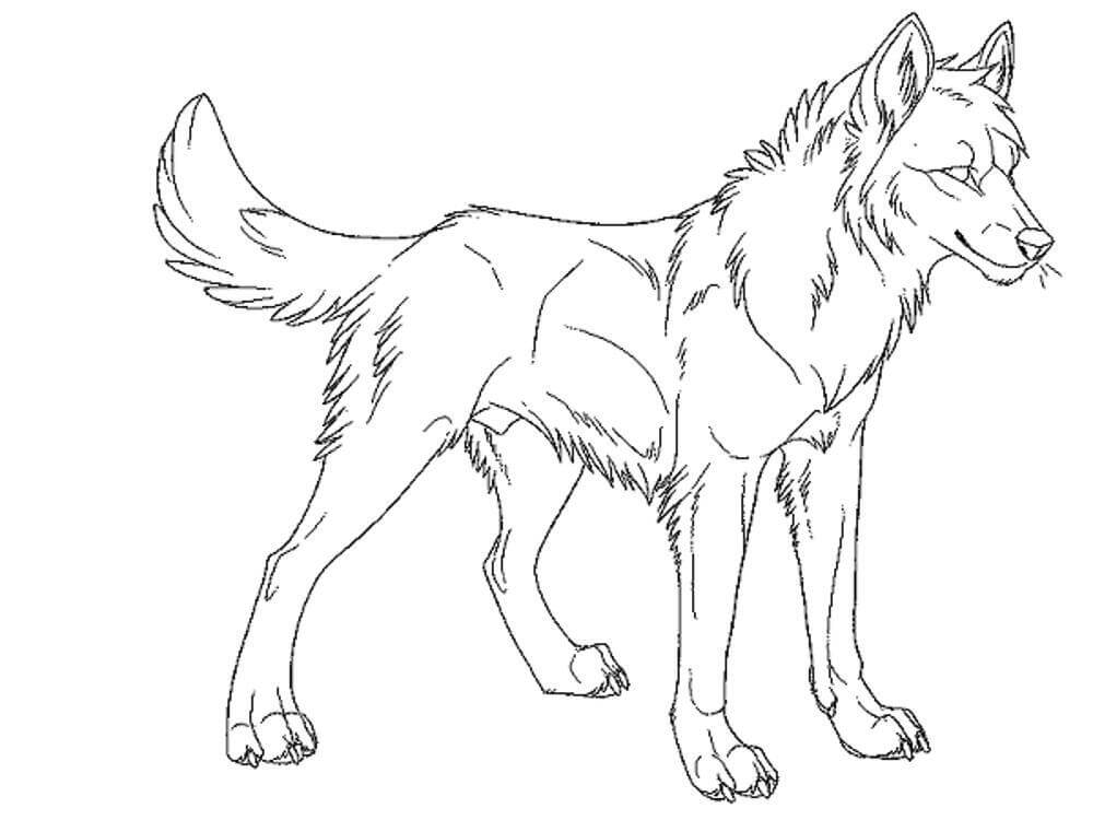 lobo sencillo