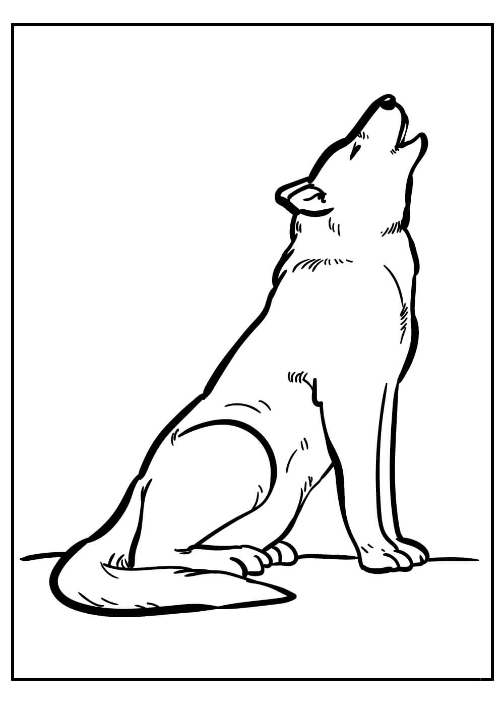 lobo basico aullando