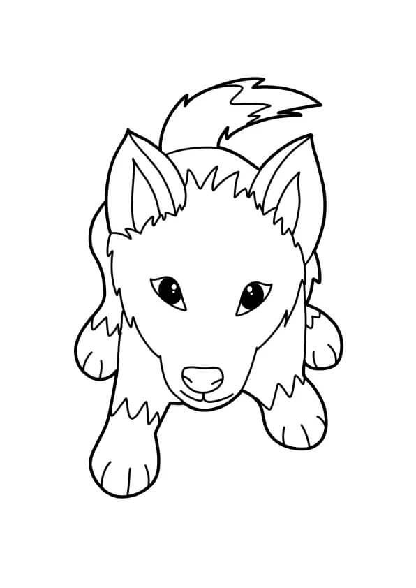 pequeno lobo