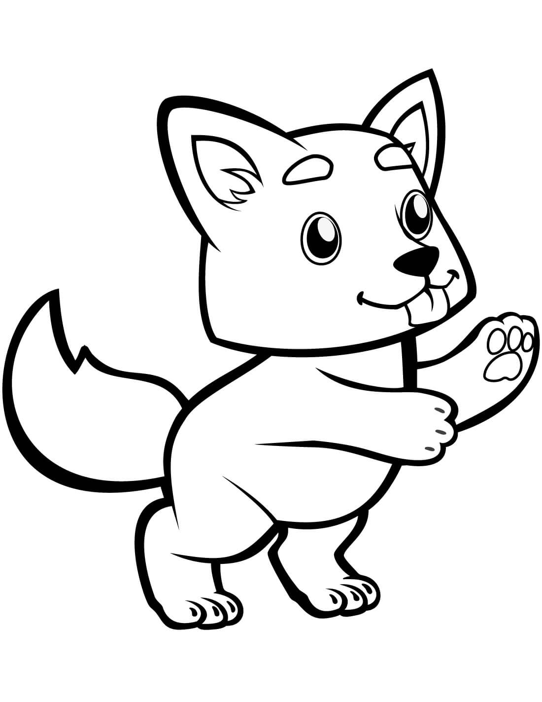 pequeno lobo lindo