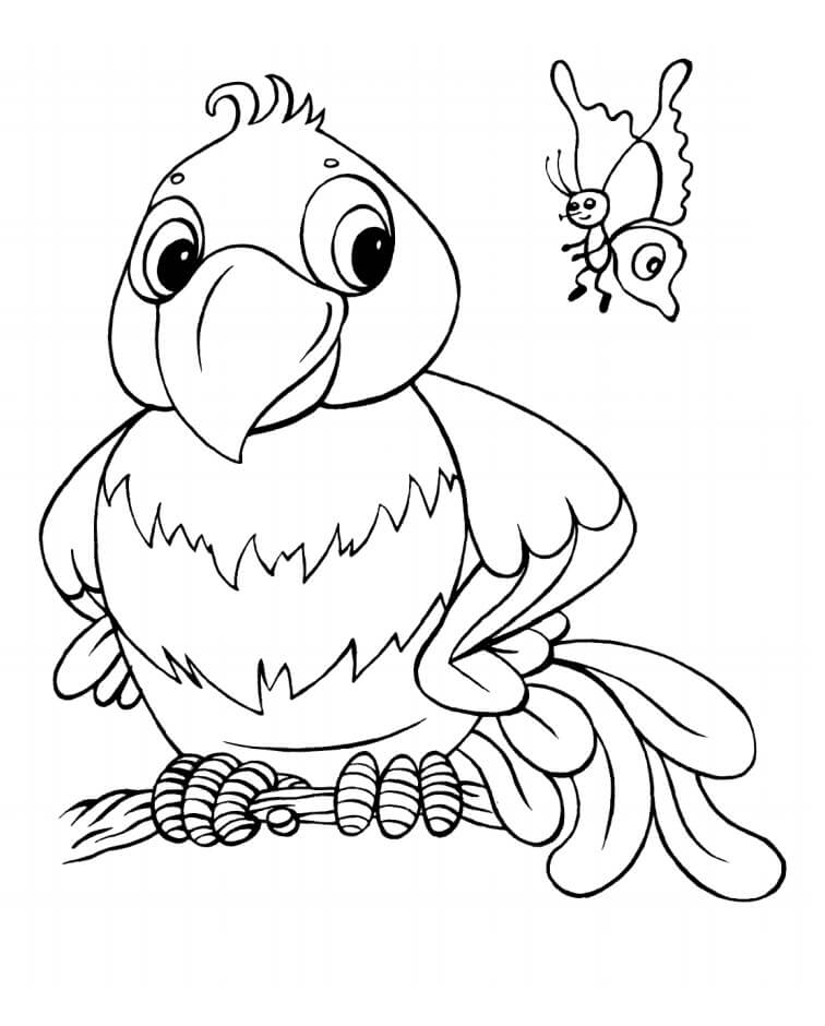 dibujo dibujos animados de loros y mariposas para colorear