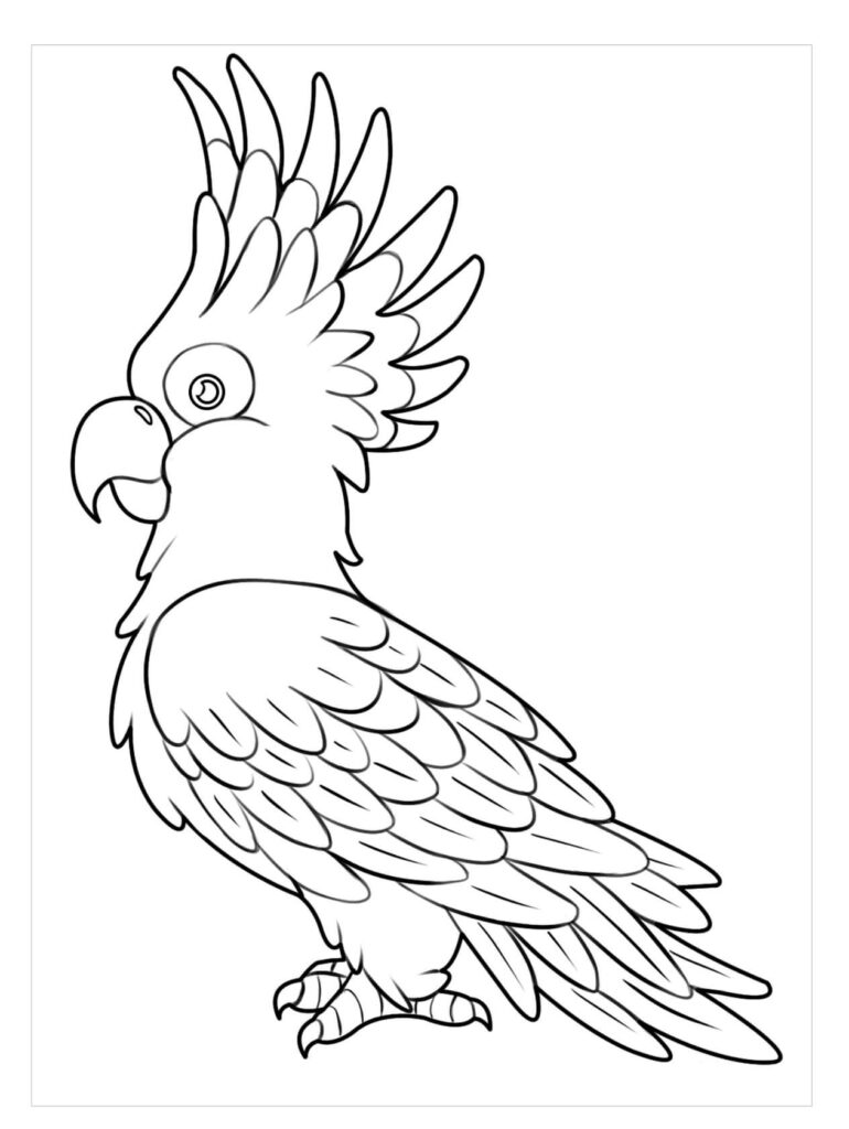 Dibujo Gran Loro Para Colorear
