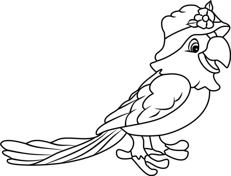 dibujo hermoso loro para colorear