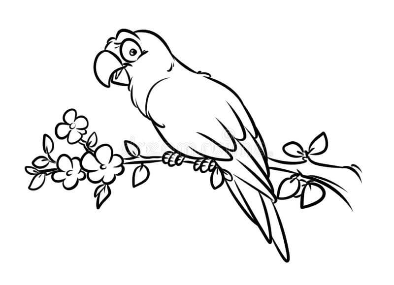 dibujo loro basico de dibujos animados para colorear