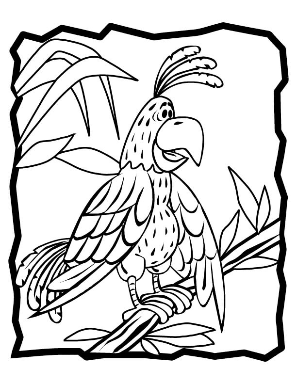 dibujo loro de mascota para colorear