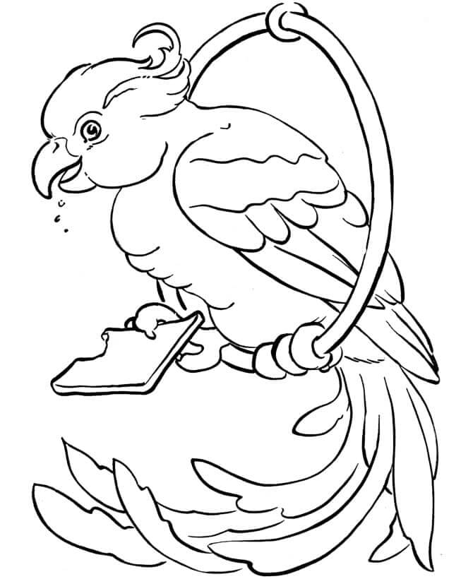 dibujo loro de pie para colorear