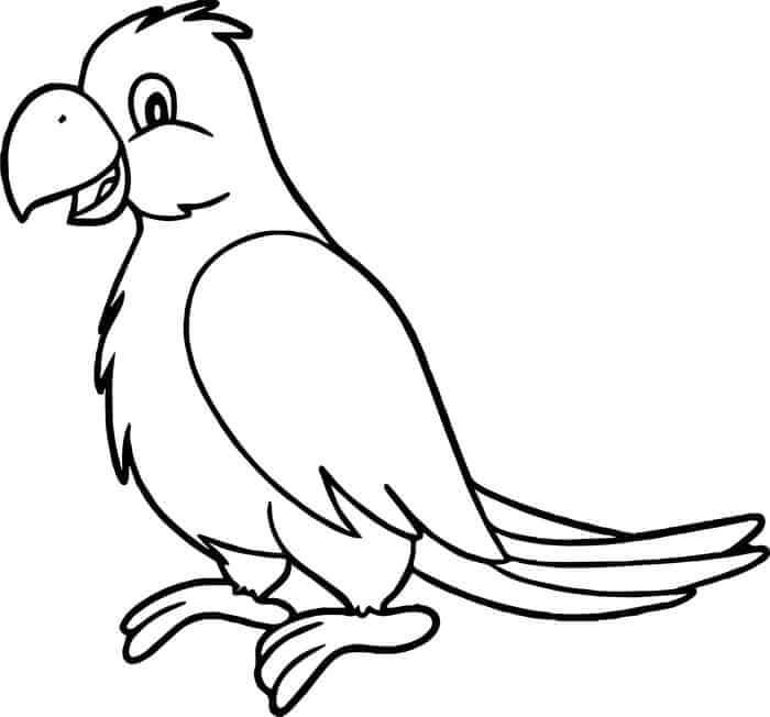 dibujo loro divertido para colorear