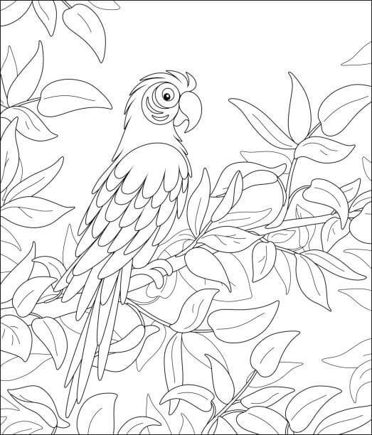 dibujo loro en arbol para colorear
