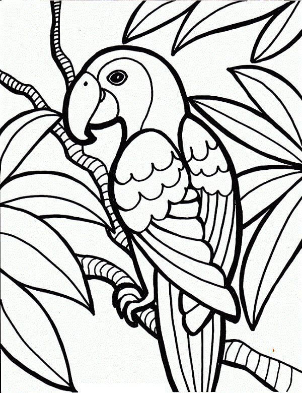 dibujo loro es para adultos para colorear
