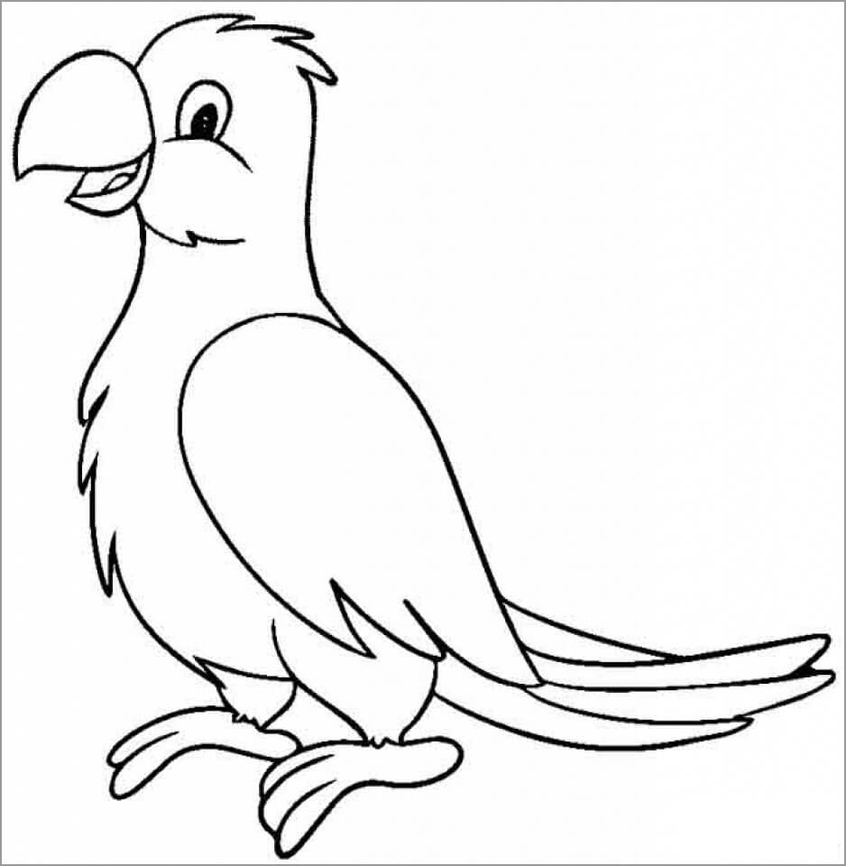 dibujo loro imprimible para colorear