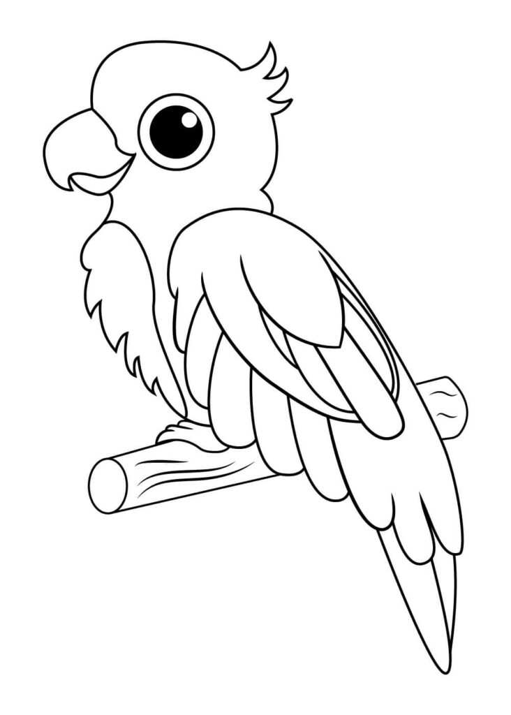 Dibujo Loro Lindo En Arbol De Rama Para Colorear