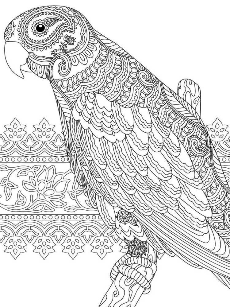 dibujo loro mandala para colorear