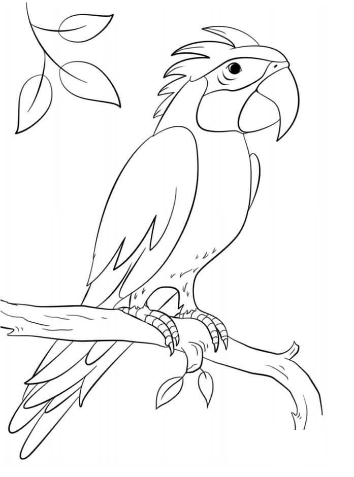 dibujo loro volando para colorear