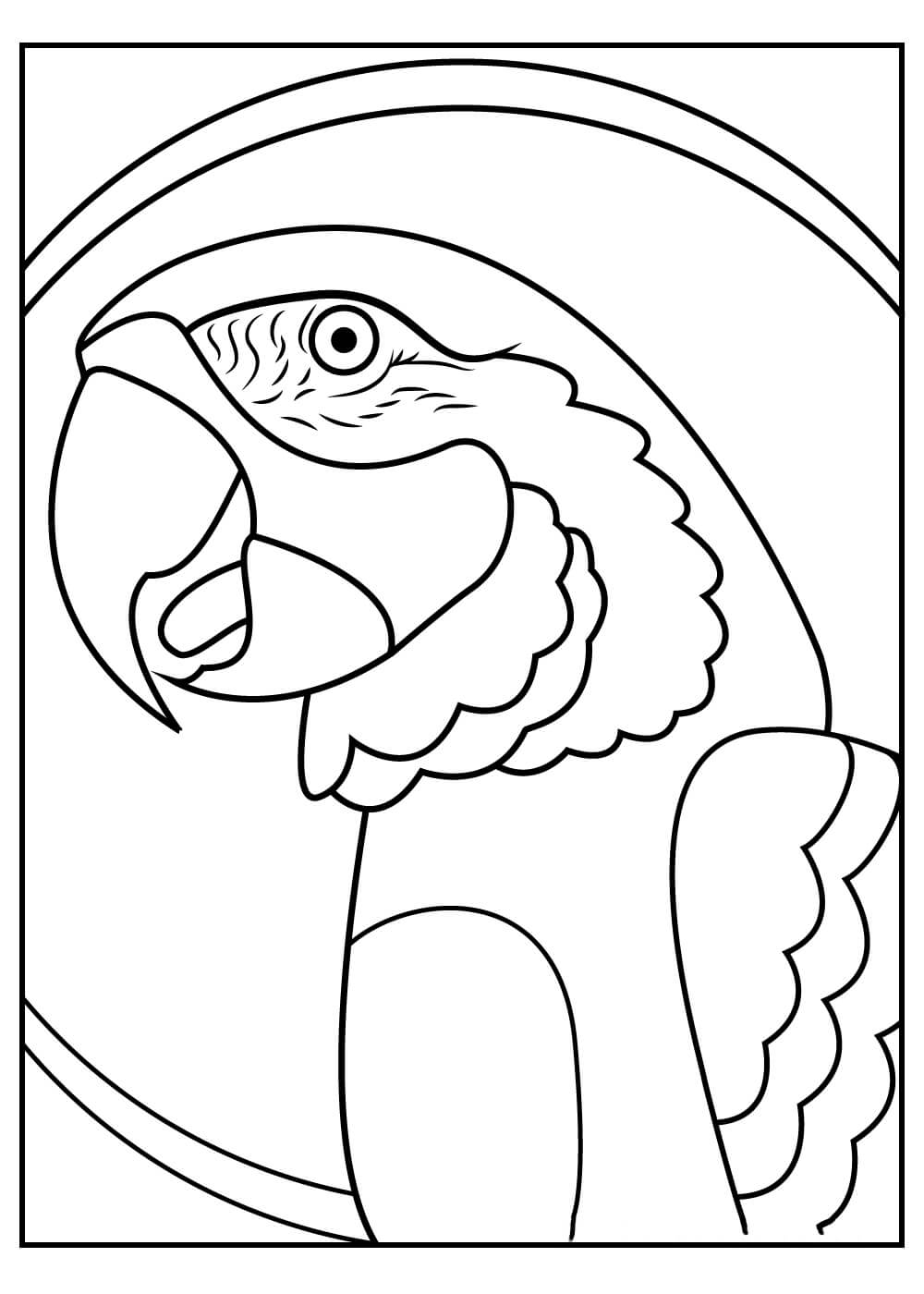 dibujo retrato de loro para colorear