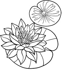 Dibujo de Flor de Loto En Hoja de Loto para Colorear y Imprimir