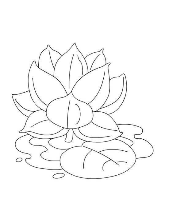 Dibujo de Loto 1 para Colorear y Imprimir