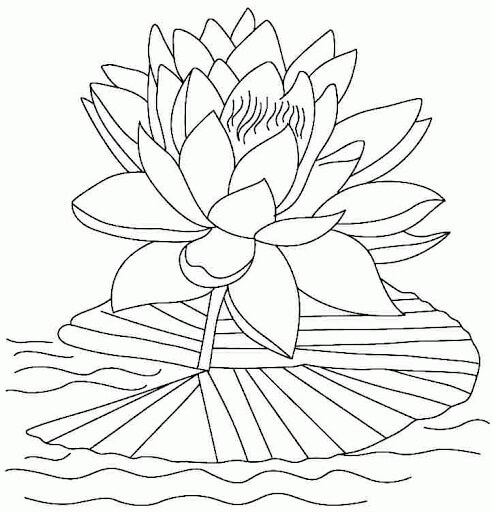 Dibujo de Loto Adorable para Colorear y Imprimir