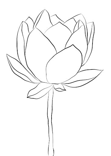Dibujo de Loto Perfecto para Colorear y Imprimir