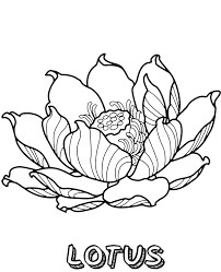 Dibujo de Lotus 2 para Colorear y Imprimir