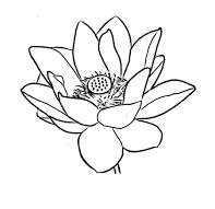 Dibujo de Lotus 3 para Colorear y Imprimir