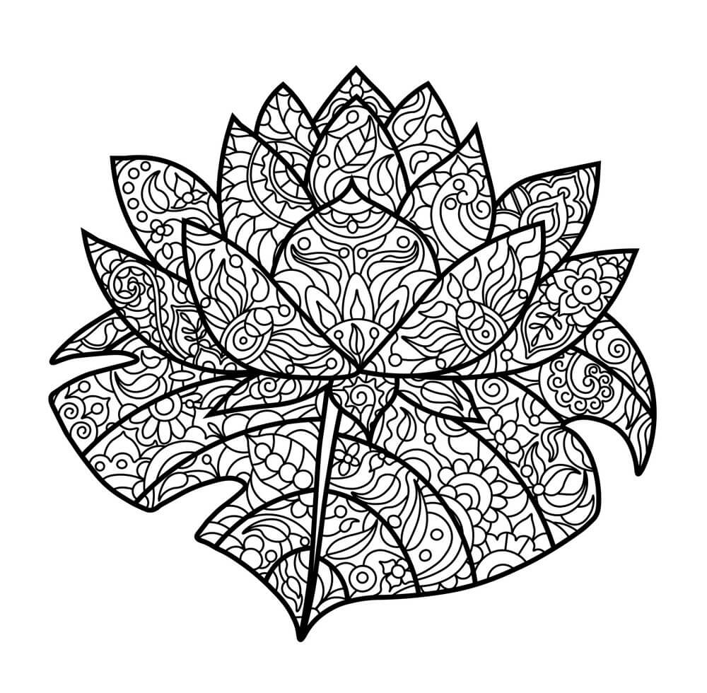 Dibujo de Lotus Adulto para Colorear y Imprimir