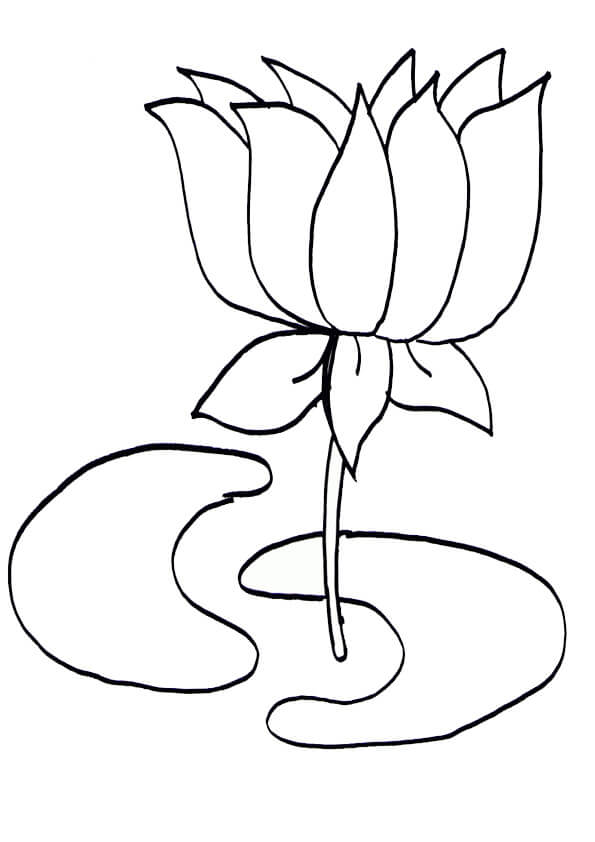 Dibujo de Lotus Basíco para Colorear y Imprimir