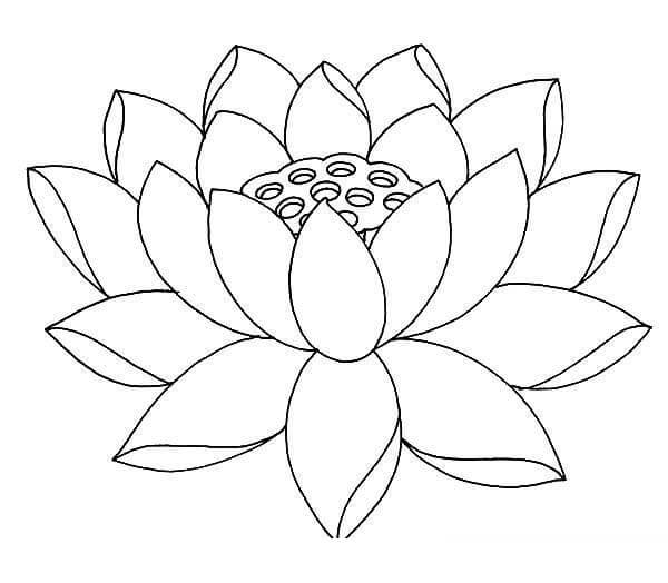 Dibujo de Lotus Impresionante para Colorear y Imprimir