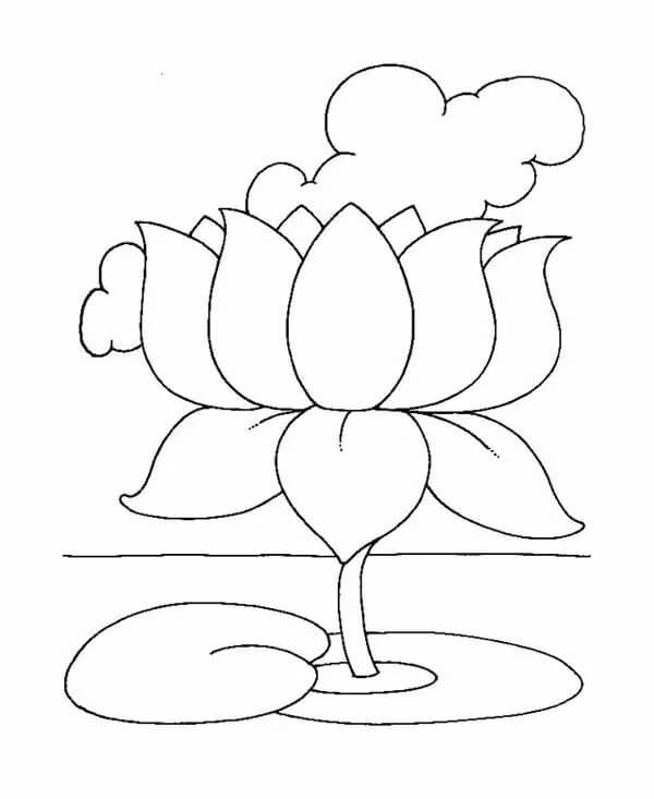 Dibujo de Lotus Imprimible para Colorear y Imprimir