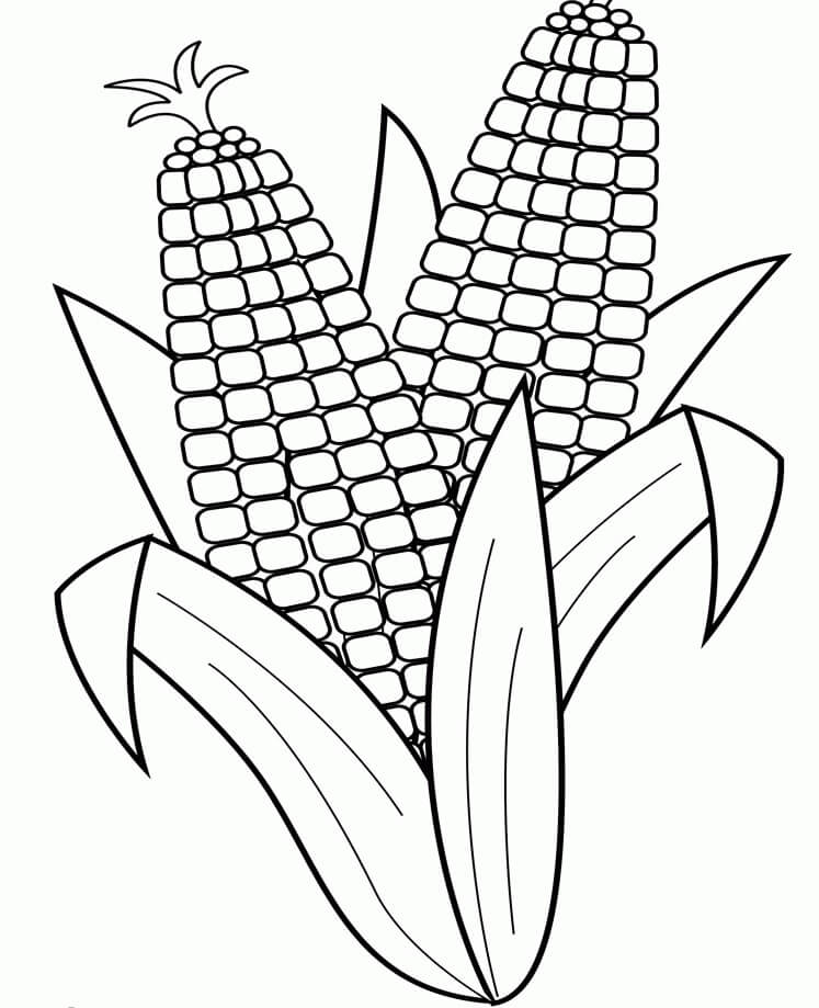 dibujo adorable maiz para colorear