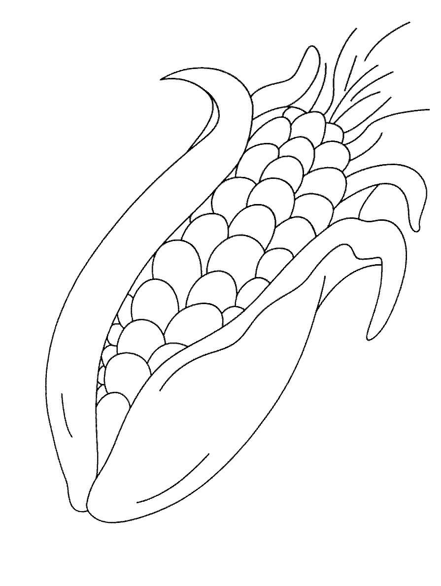 dibujo bonito maiz para colorear
