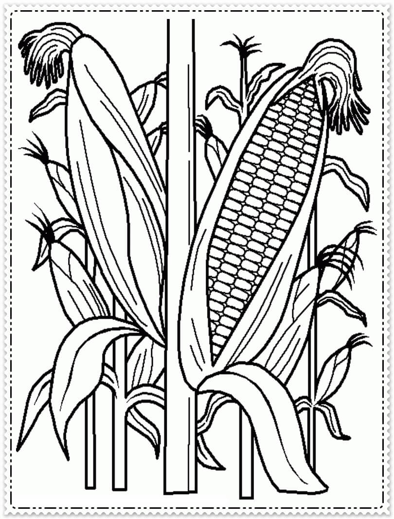 dibujo granos de arbol para colorear